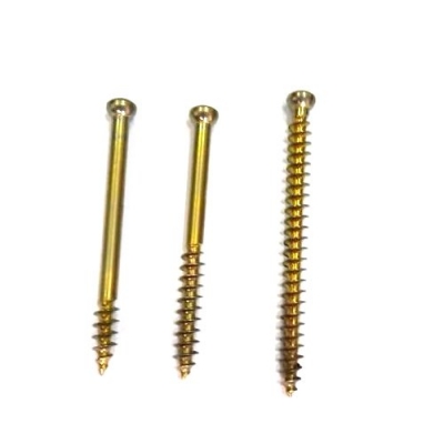 Cannulated Screws