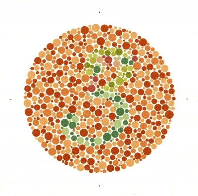 Color Vision Testing