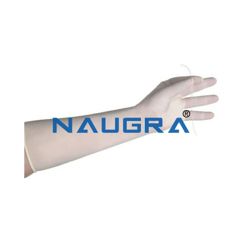 Non Sterile Latex Gloves from India
