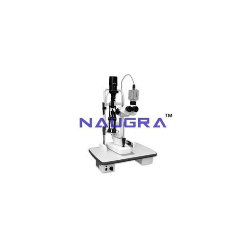 Slit Lamp Stepper Magnification