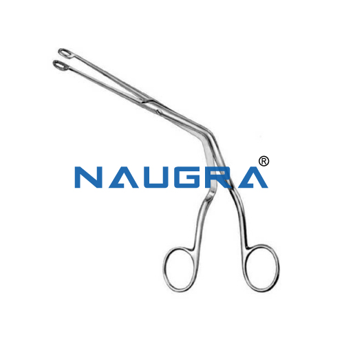 Ear Curette from India
