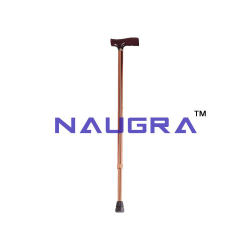 Walking Stick Eco