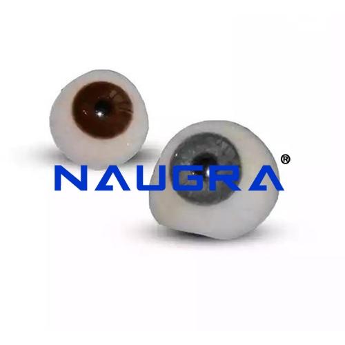 Artificial Eye