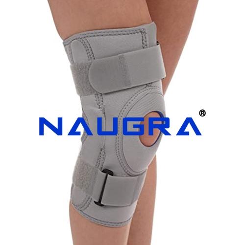 Knee Support with Hinges