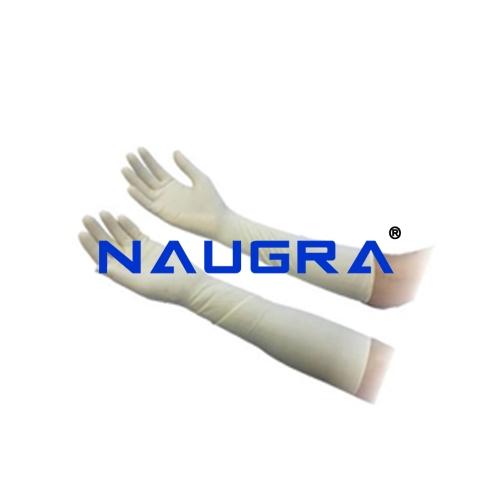 Latex Gynecological, Long Cuff Gloves