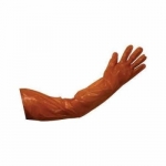 Veterinary Glove from India