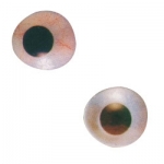 Artificial Eye from India