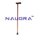 Walking Stick Eco